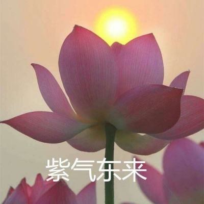 幻神奇缘变态版下载